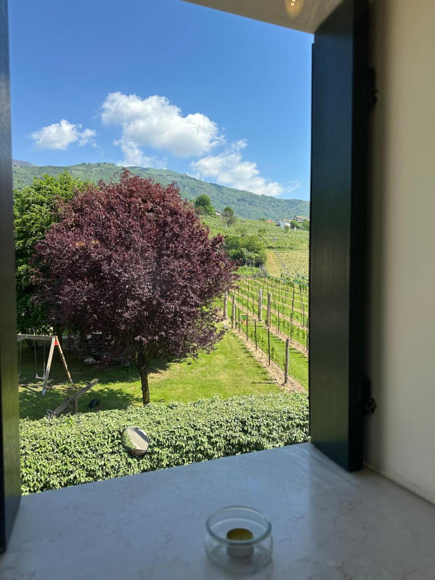 Casa Vacanze Ricca Vigna Valdobbiadene Exterior photo